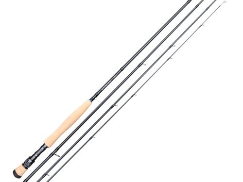 Cadence CSM 10ft