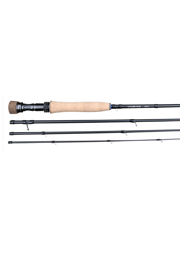 Cadence CSM 10ft