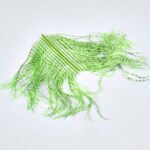 Zebra Ostrich - Image 2