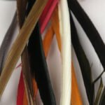 Hareline Stripped Goose Biots